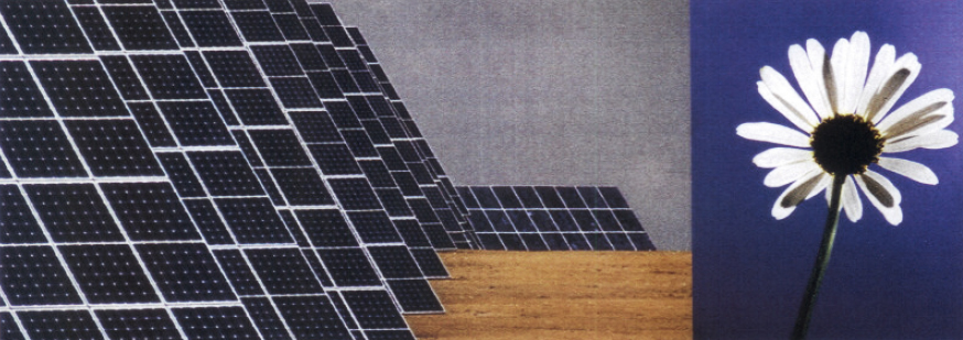 immagine con fotovoltaico e margherita