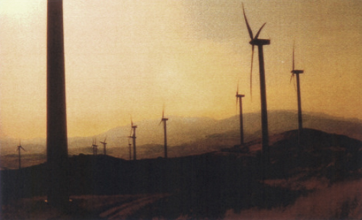 immagine pale eoliche nel deserto